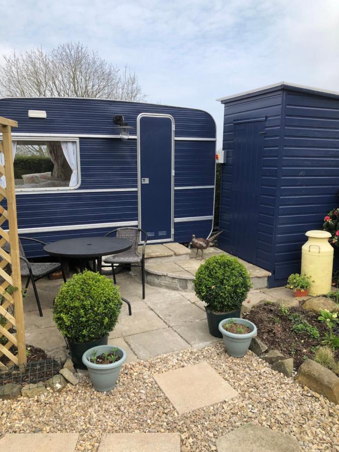 Down The Garden Path Vintage Caravan B&B , Dartmoor Newton Abbot Ngoại thất bức ảnh
