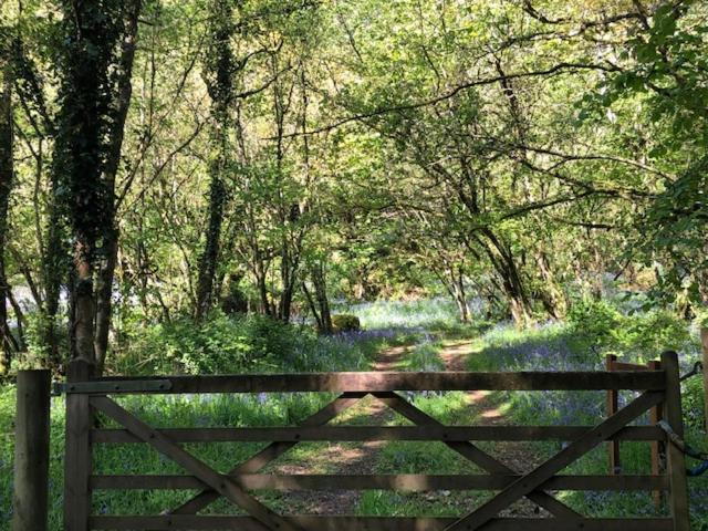 Down The Garden Path Vintage Caravan B&B , Dartmoor Newton Abbot Ngoại thất bức ảnh