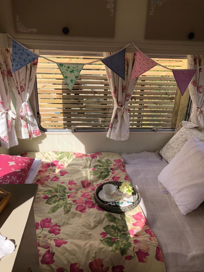 Down The Garden Path Vintage Caravan B&B , Dartmoor Newton Abbot Ngoại thất bức ảnh