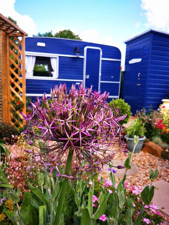 Down The Garden Path Vintage Caravan B&B , Dartmoor Newton Abbot Ngoại thất bức ảnh