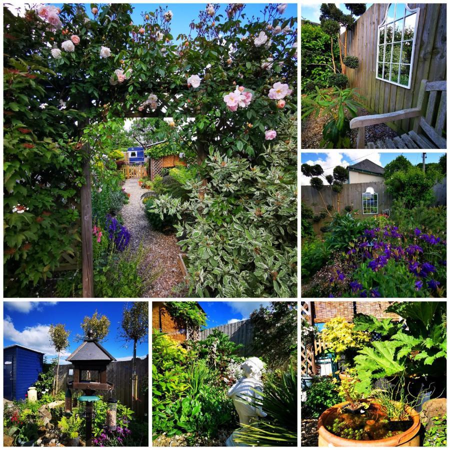 Down The Garden Path Vintage Caravan B&B , Dartmoor Newton Abbot Ngoại thất bức ảnh